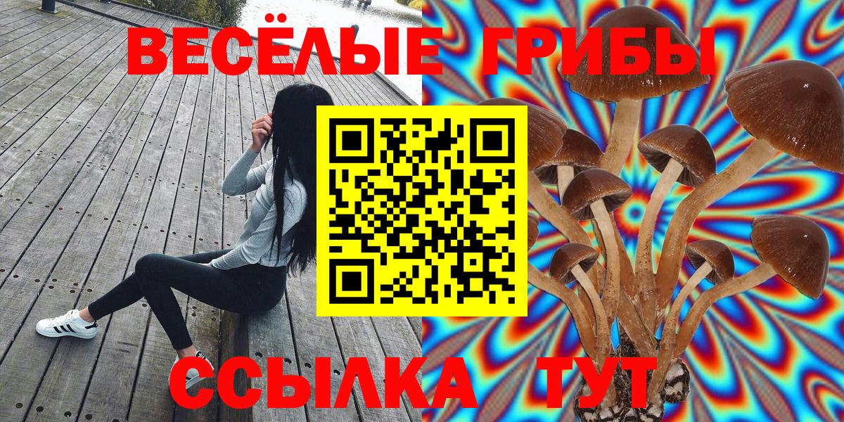 Галлюциногенные грибы Magic Shrooms  Псилоцибиновые грибы Magic Shrooms  Вход с VPN  Рассказово 