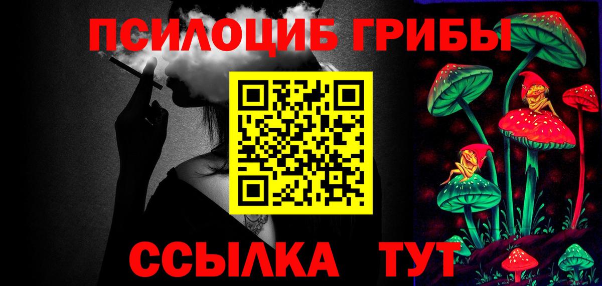 Псилоцибиновые грибы Cubensis Рассказово
